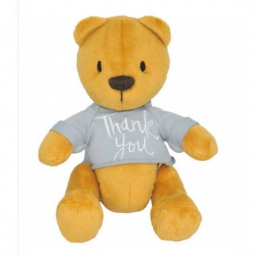 Медведь Денни «Thank you» 20 см ВЕ-0207