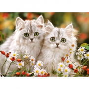 Пазлы Castorland 200 «Персидские котята» В-222131