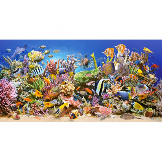 Пазлы Castorland «Подводный мир» 4000 эл - фото 2