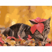 Картина за номерами «Котик з листочком» розмір 40-50 cм Strateg SY6728