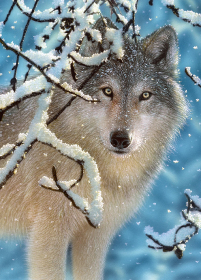 Пазлы «Волк в зимнем лесу» 260 эл - фото 1