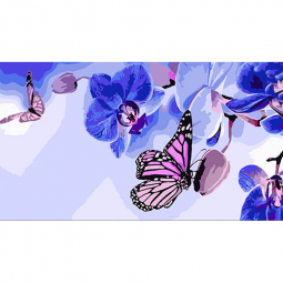 Картина по номерам «Метелики на орхідеях» розмір 50-25 см Strateg WW200
