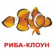 Большие украинские карточки «Жители водоемов»