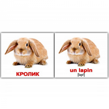 Карточки мини русско-французкие "Домашние животные"
