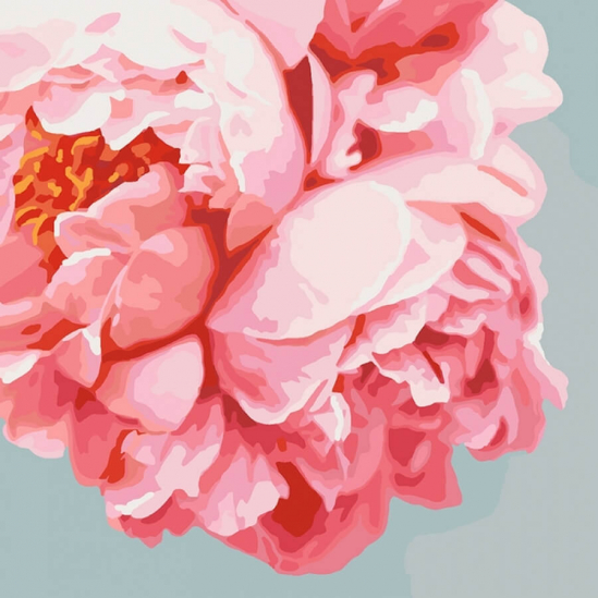 Картина по номерам «Розовые пионы» 40*40 см - фото 1