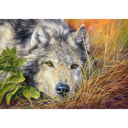 Пазлы Castorland «Волк» 500 элементов