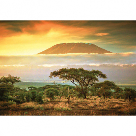 Пазлы DankoToys 1000 «Гора Килиманджаро» - фото 1