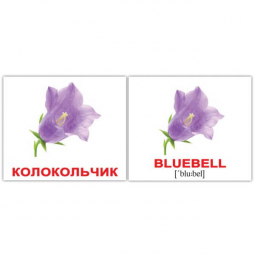 Карточки мини русско-английские «ЦветыFlowers» 476328