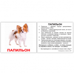 Карточки мини русские «Породы собак с фактами» 477317