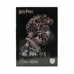 Тетрадь для нот 20 листов А4 Harry Potter-2 Kite HP20-404-2
