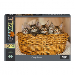 Пазлы Danko Toys Funny kittens 500 элементов С500-14-09