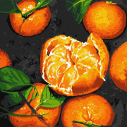 Картина по номера «Сладкие мандарины» размер 30-30 см Идейка KHO5622