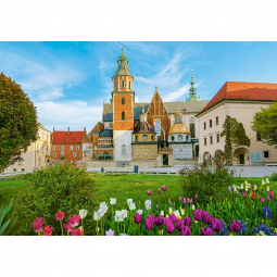 Пазлы Castorland «Вавельский замок в Кракове, Польша» 500 элементов B-53599