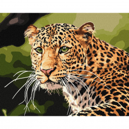 Картина по номерам Идейка «Зеленоглазый леопард», размер 40-50 см КНО4322