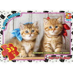 Пазлы для детей G-Toys серия «Домашние любимцы» Домашние котята 35 элементов AN144