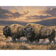 Картина по номерам 40-50 см «Пара бизонов» Strateg VA-3348