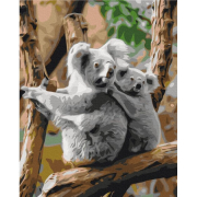 Картина по номерам размер 40-50 см «Семья коал» Brushme BS52451