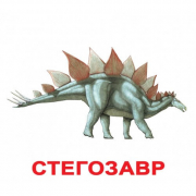 Картки великі українські з фактами «Динозаври» 20 ламінованих карток Вундеркінд з пелюшок 094218