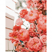 Картина по номерах «Чудові троянди» розмір 30-40 см Strateg SS-6596