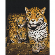 Картина по номерам «Нічні леопарди» розмір 40-50 см Brushme BS52791