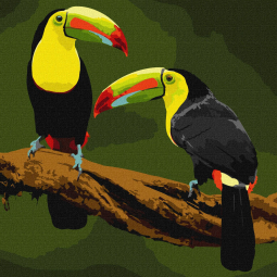 Картина по номера «Екзотичні птахи» розмір 40-40 см Ідейка КНО4337