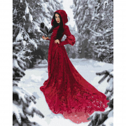 Картина по номера «Зимова красуня» розмір 40-50 см Ідейка КНО4912