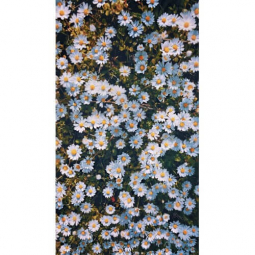 Картина алмазна мозаїка «Ромашкове поле» розмір 30-40 на підрамнику DreamToys Y0039