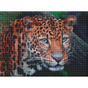 Алмазна мозаїка картина «Дикий погляд» розмір 30-40 см Идейка АМО7203