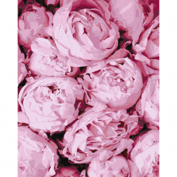 Картина по номерах «Рожева ніжність» розмір 40-50 см Идейка КНО2998
