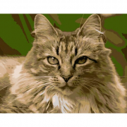 Картина за номерами «Горда кішка» розмір 40-50 cм Strateg DY186