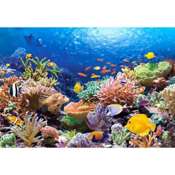 Пазлы «Коралловый риф» 1000 эл
