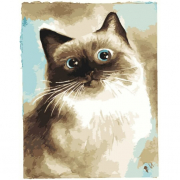 Картина за номерами «Дивовижна кішка» розміром 40-50 см Strateg DY180