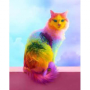 Картина алмазна мозаїка «Райдужна кішка» на підрамнику розмір 30-40 см Dreamtoys Y0018