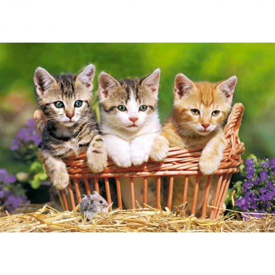 Пазлы «Три котенка в корзине» 500 эл - фото 1