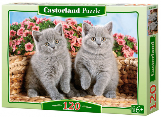Пазлы Castorland Серые котята (120 эл.) - фото 1