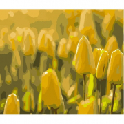 Картина по номерах «Жовті тюльпани» розміром 40-50 см Strateg DY090