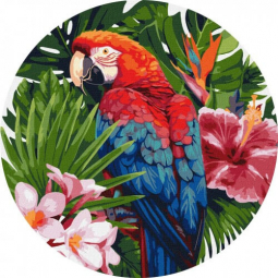 Картина за номерами Яскравий папуга діаметр 39 см Ідейка KHO-R1004
