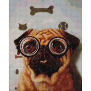 Картина алмазна мозаїк «Перевірка зору собачки Lucia Heffernan» розмір 40-50 см Brushme DBS1220
