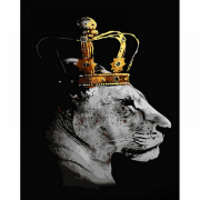 Картина по номерам «Королева-левиця» розмір 40-50 см Strateg GS1442