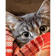 Картина по номерам «Котик під ковдрою» розмір 40-50 см Strateg GS1208