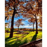 Картина по номерам «Прогулянка восени» розмір 40-50 см Strateg GS964