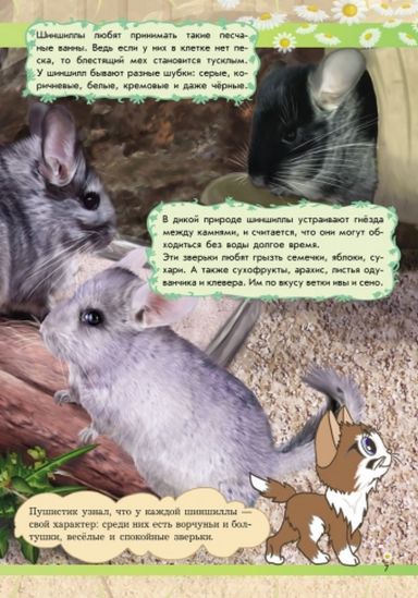 Детская книга Мир животных От хомячка до динозавра - фото 2