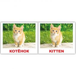 Карточки мини русско-английские «Домашние животные»