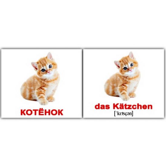 Карточки мини русско-немецкие «Домашние животные» - фото 1