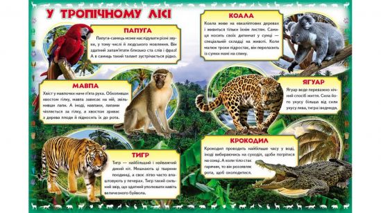 Моя первая книга Украинская «О диких животных» - фото 2