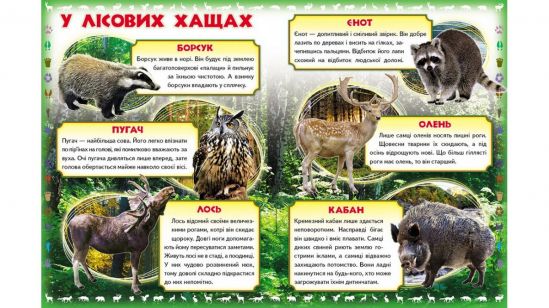 Моя первая книга Украинская «О диких животных» - фото 3
