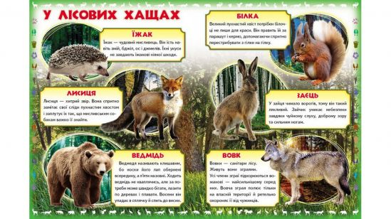 Моя первая книга Украинская «О диких животных» - фото 4
