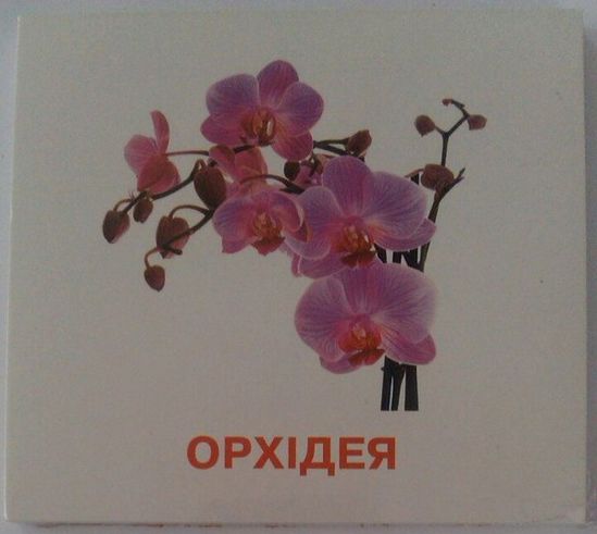 Карточки мини украинские «Цветы» - фото 1