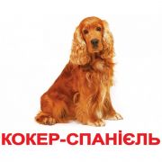 Большие украинские карточки «Породы собак»