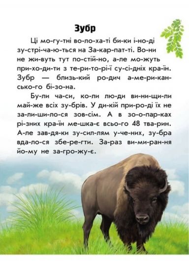 Украинская книга читаем по слогам «Животный мир» - фото 5